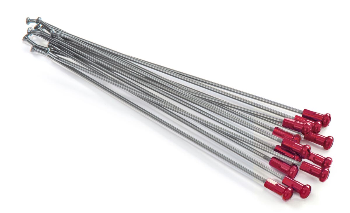 KITE SPOKES 19 RR SI /RE NIP 12PC 20.907.0.RO
