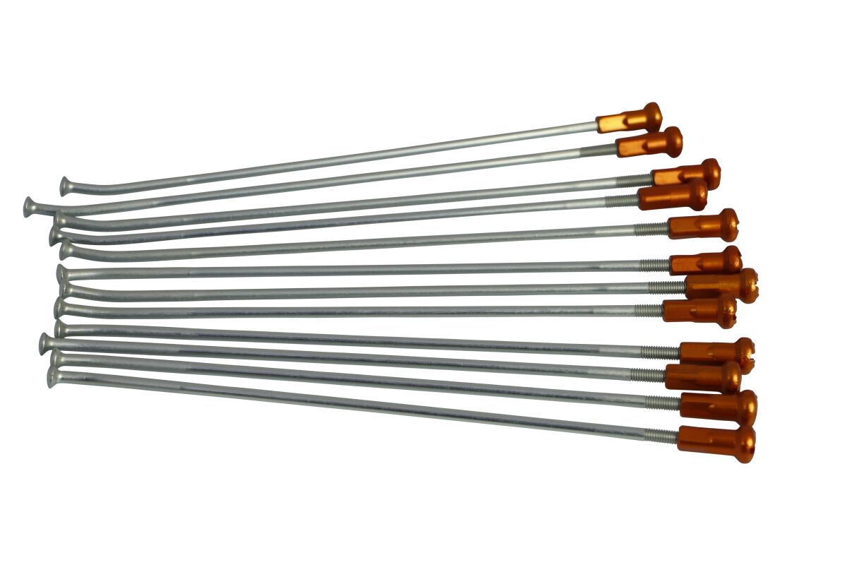 KITE SPOKES 18 RR SI/OR NIP 20.909.0.AR