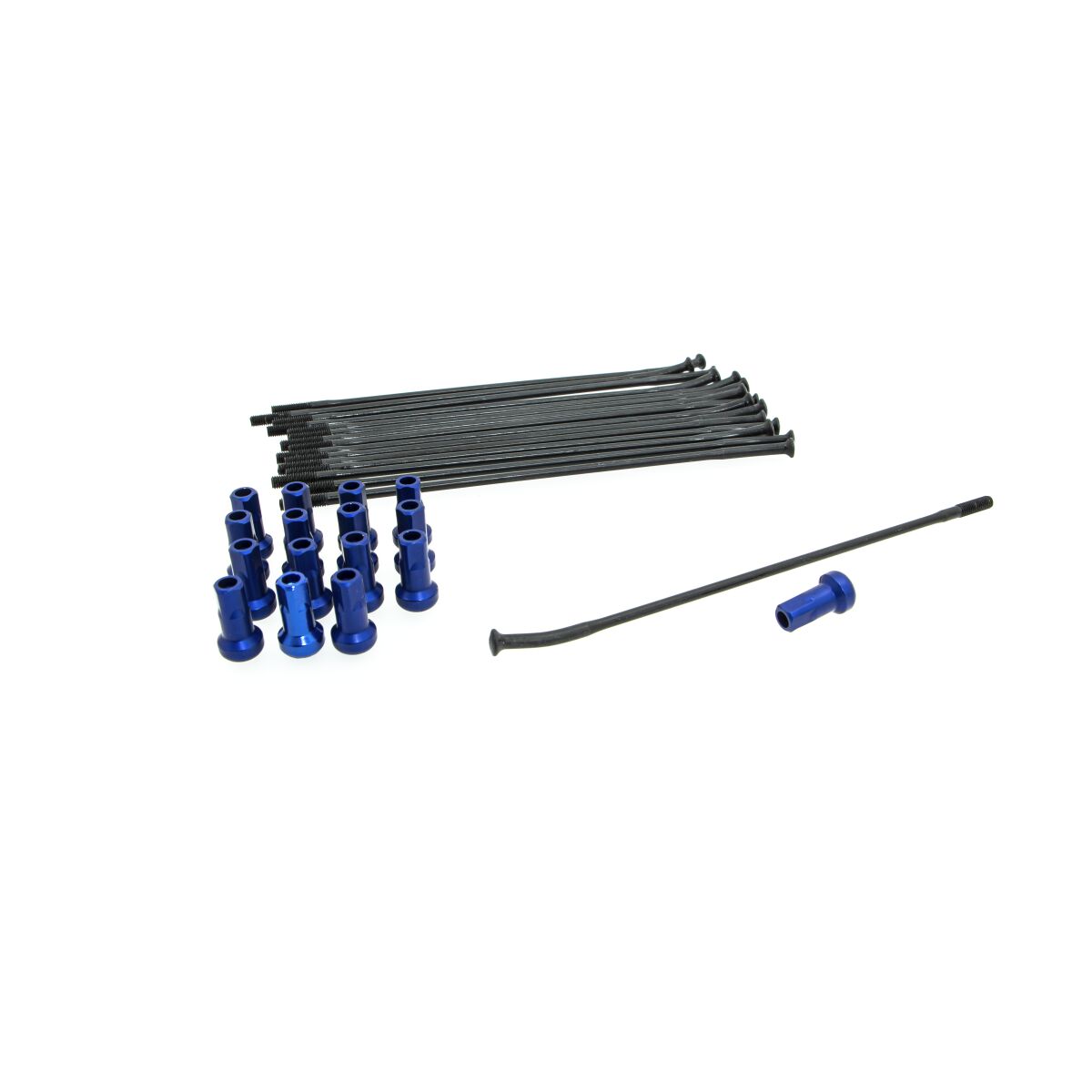KITE SPOKE KIT RR 16 BK/BL 20.927.1.BL