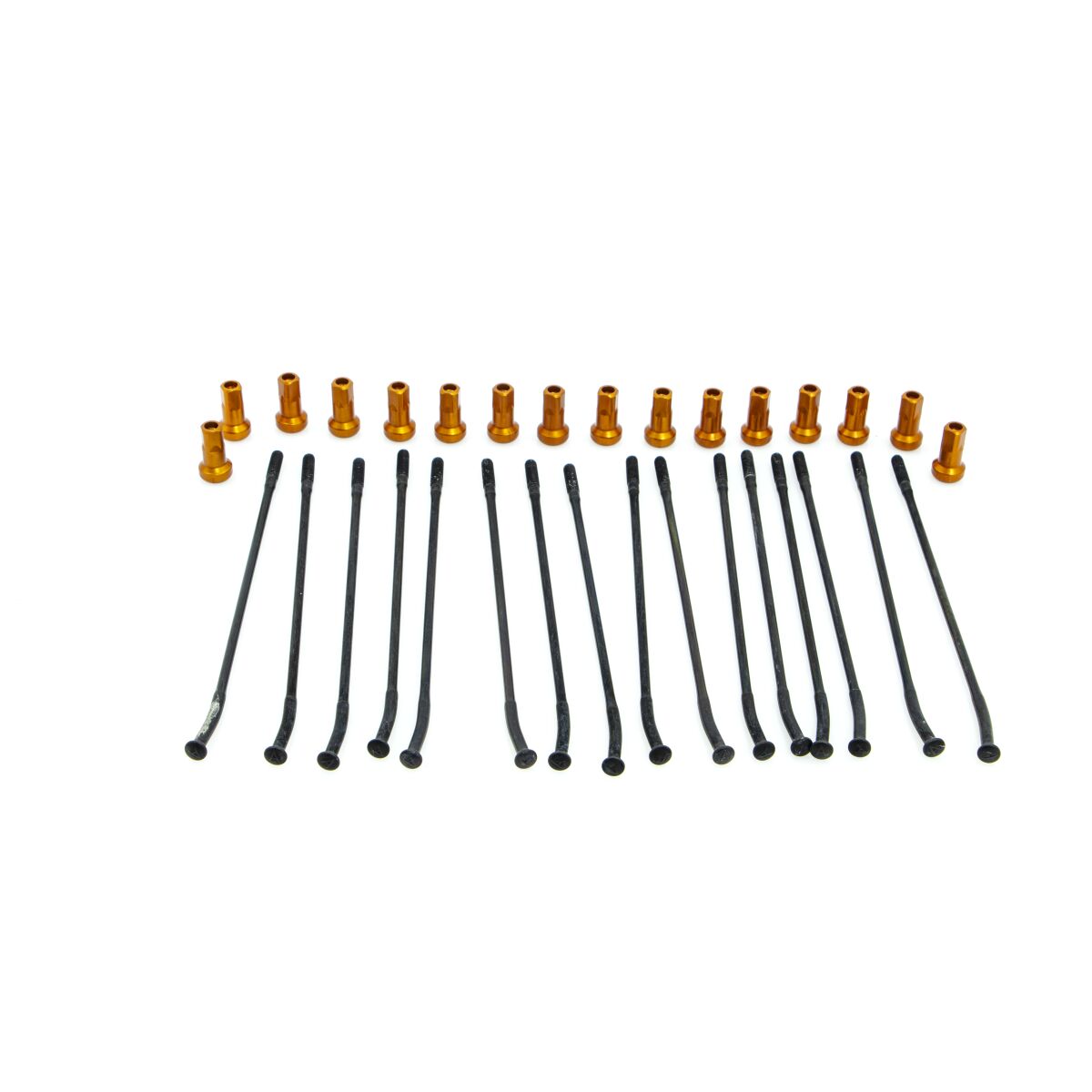 KITE SPOKE KIT RR 14 BK/OR 20.925.1.AR