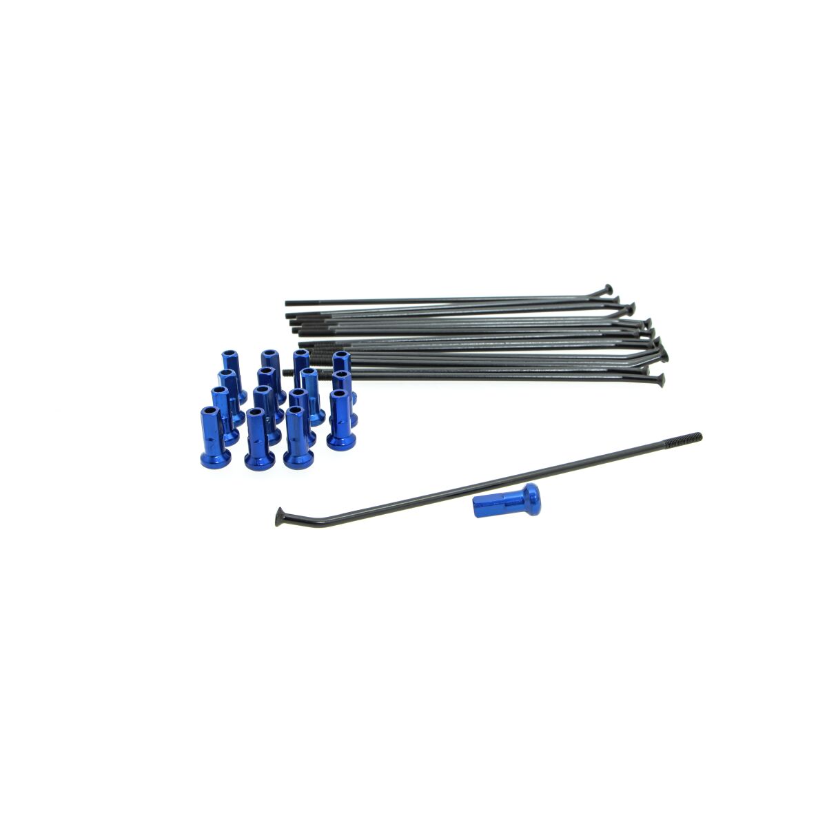 KITE SPOKE KIT RR 12 BK/BL 20.923.1.BL