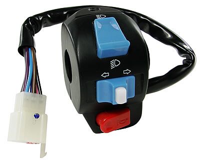 101 OCTANE SWITCH ASSY BT24016