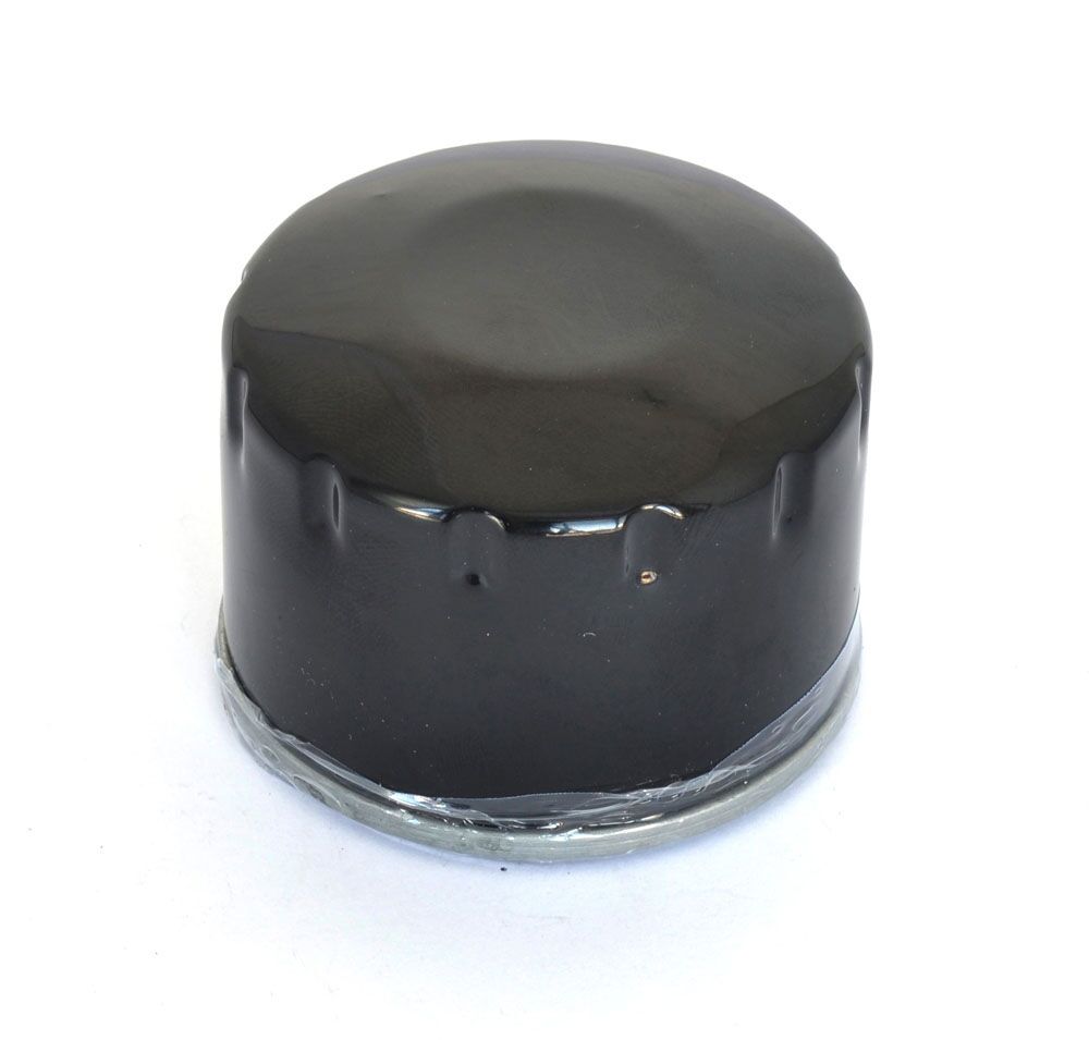 ATHENA OIL FILTER BMW FFP024