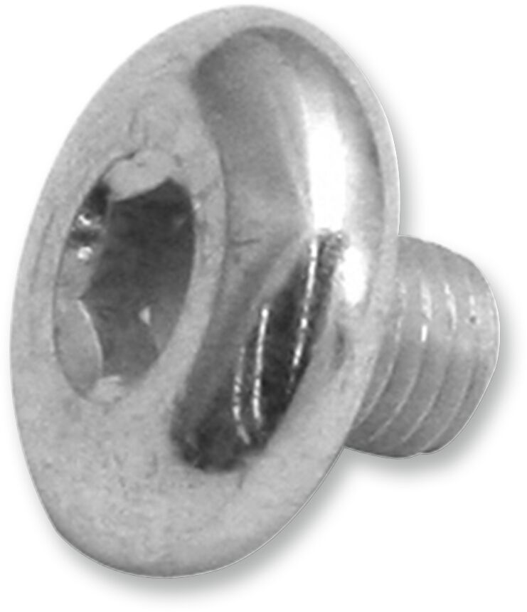 S&S CYCLE SCREW ATTACH BACKPLATE 17-0346