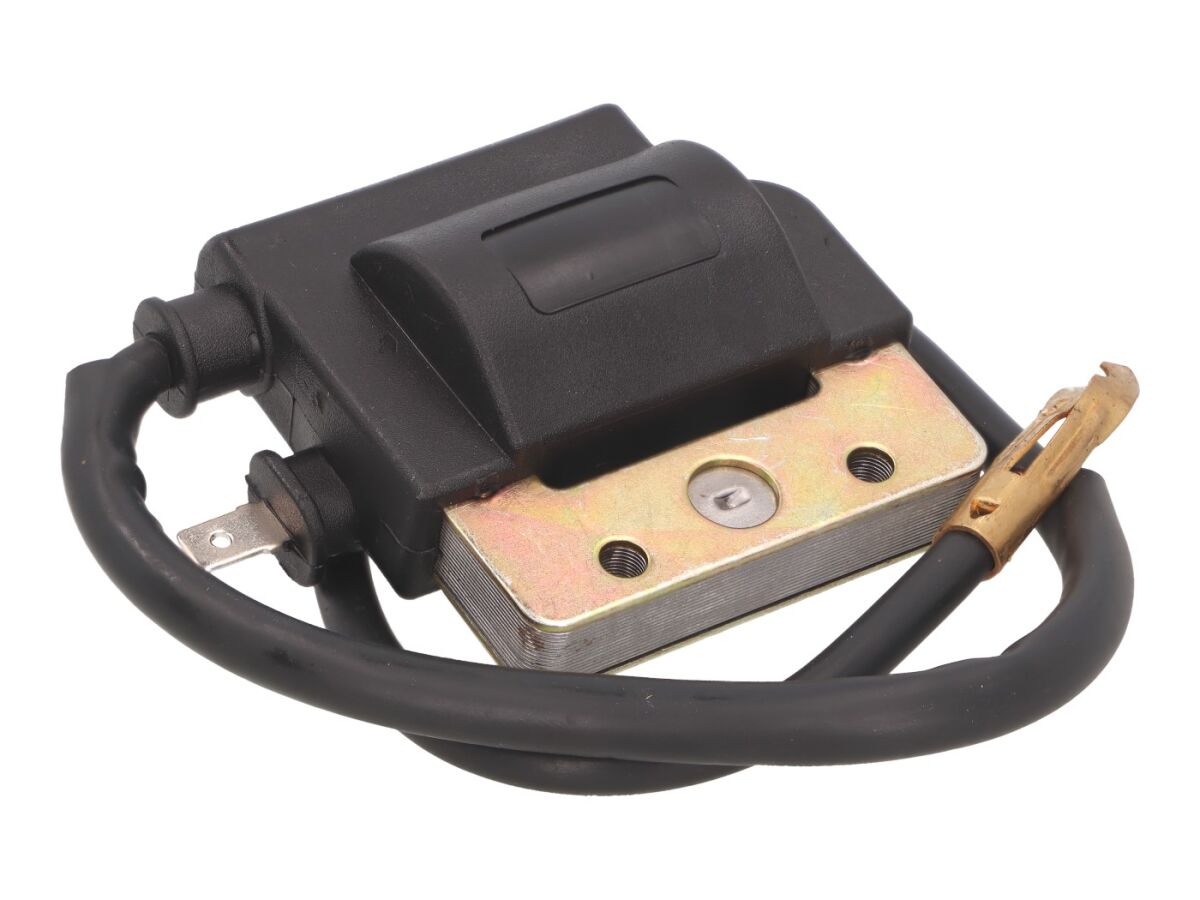 101 OCTANE IGNITION COIL 16829