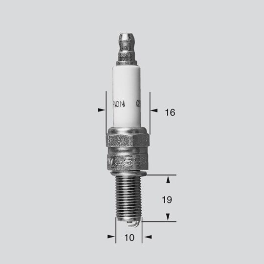 CHAMPION CHAMPION S-PLG P-RG6HCC P-RG6HCC