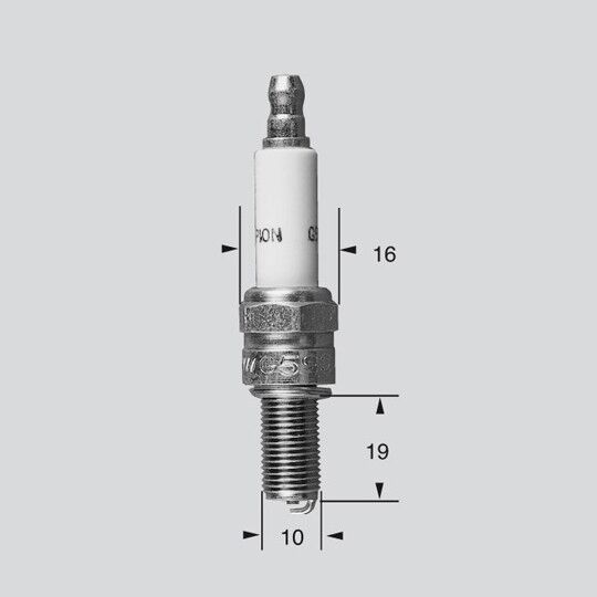 CHAMPION CHAMPION S-PLUG HD RG6HCC CCH388
