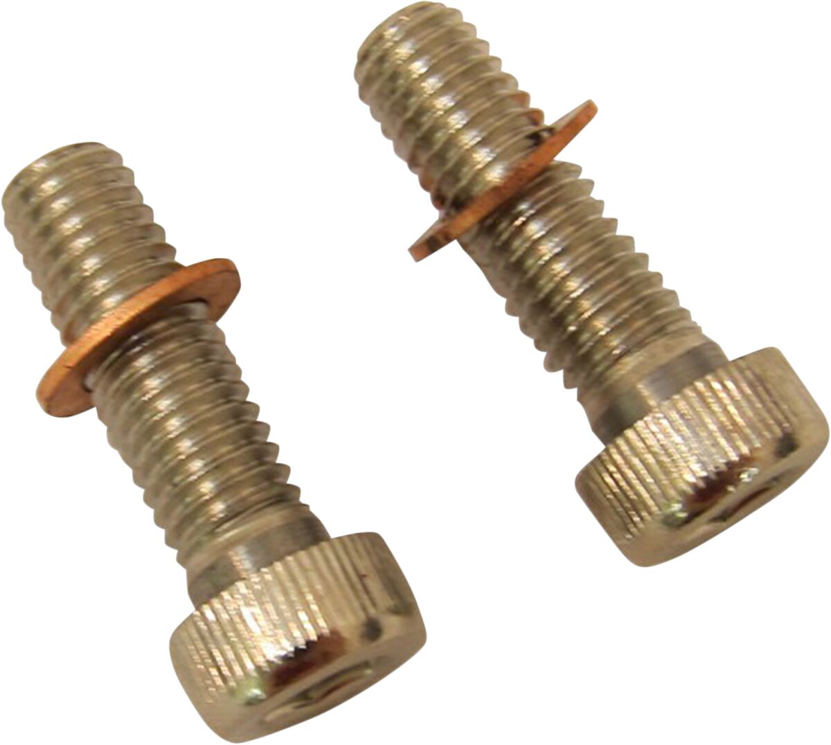 DRAG SPECIALTIES DAMPER TUBE SCREWS WITH WASHER C23-0237NU-2