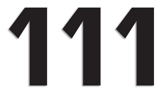 BLACKBIRD RACING NUMBER #1 16X7.5CM BK 5048/20/1