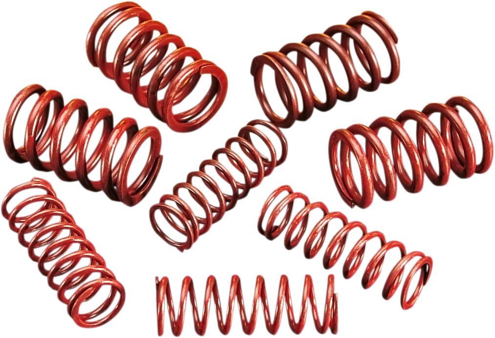 ANDREWS H-LIFT SPRINGS EVO BT-XL 294150