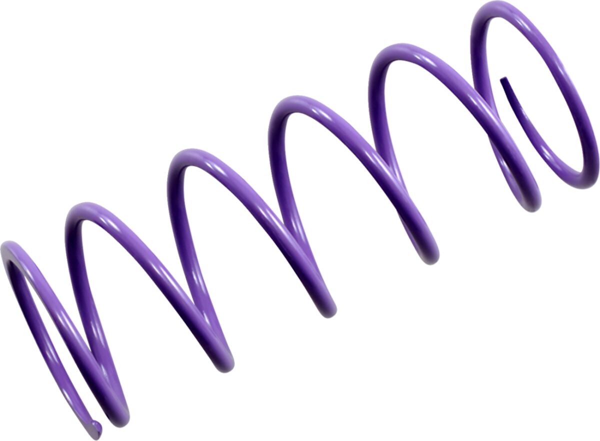 EPI SPRING PRIMARY PURPLE PATV4