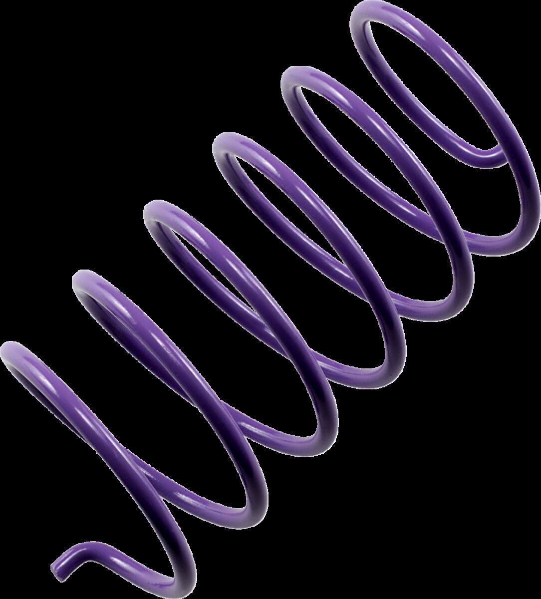 EPI SECONDARY SPRING PURPLE PDS-6