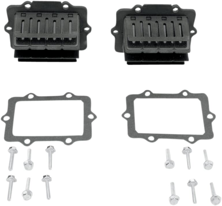 VFORCE/MOTO TASSINARI V-FORCE3 REEDS SD TWIN V3120-794A-2